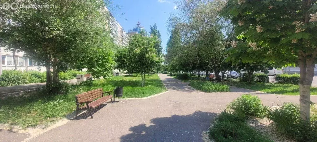Офис (90.4 м) - Фото 1