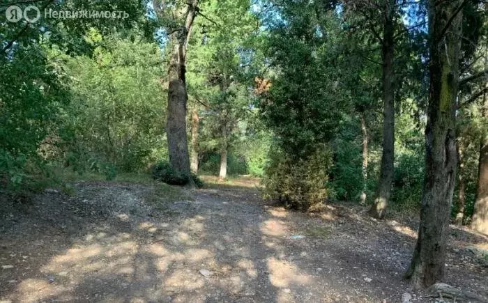 Участок в Республика Крым, муниципальный округ Ялта, посёлок ... - Фото 1