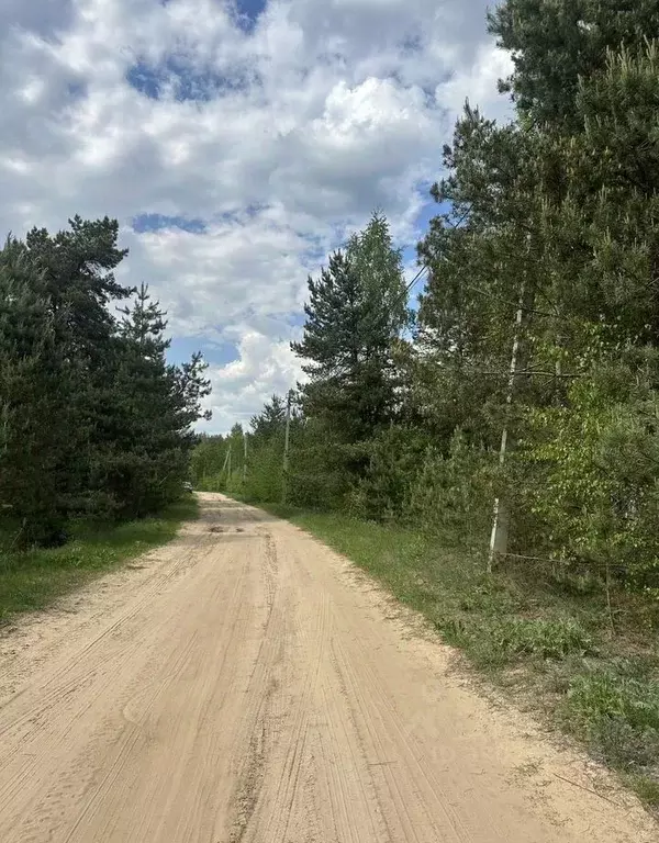 Участок в Тверская область, Кимрский муниципальный округ, д. Ваулино ... - Фото 2