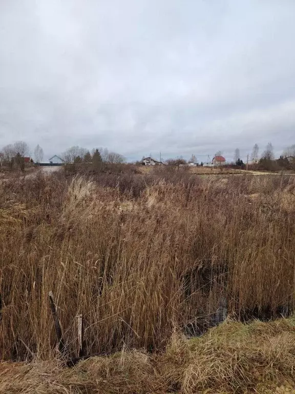 Участок, 11 сот., поселения (ижс) - Фото 2