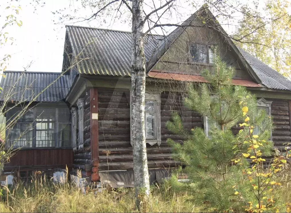 Дом 52,4 м на участке 15 сот. - Фото 1
