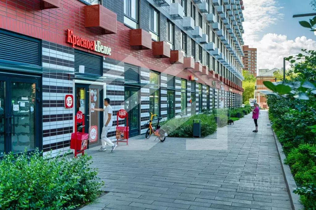 Помещение свободного назначения в Московская область, Котельники Белая ... - Фото 1