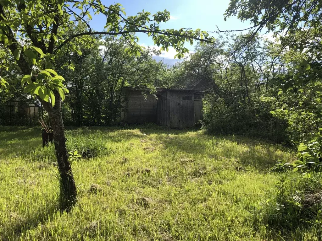 Участок в Тверская область, Конаковский муниципальный округ, Завидово ... - Фото 1