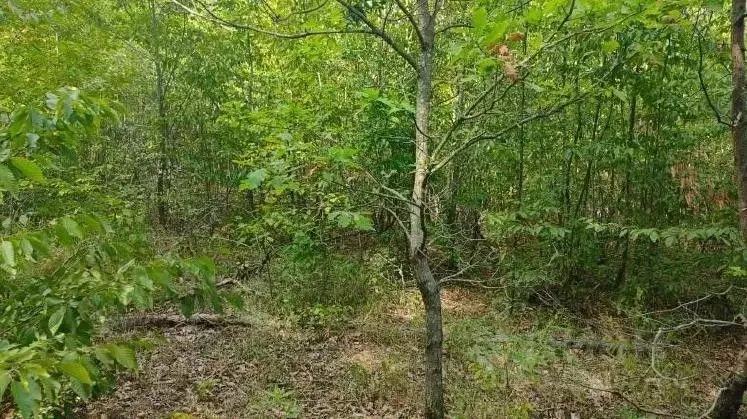 Участок в Краснодарский край, Горячий Ключ  (6.9 сот.) - Фото 0