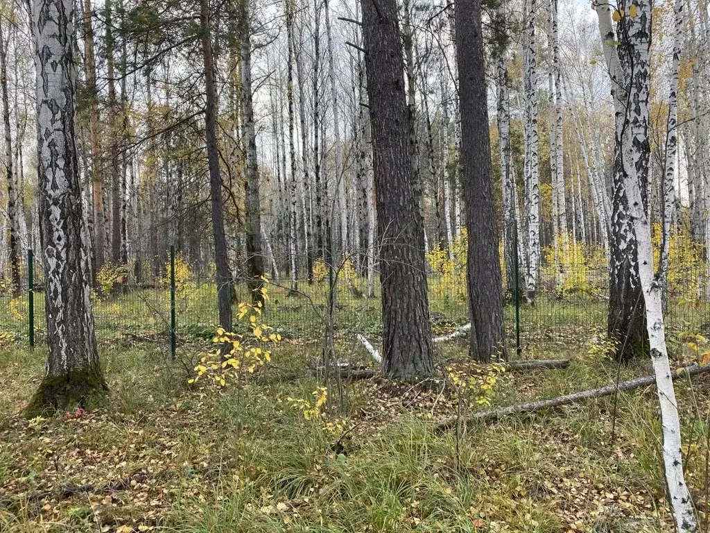 Участок в Свердловская область, Сысертский муниципальный округ, ... - Фото 1