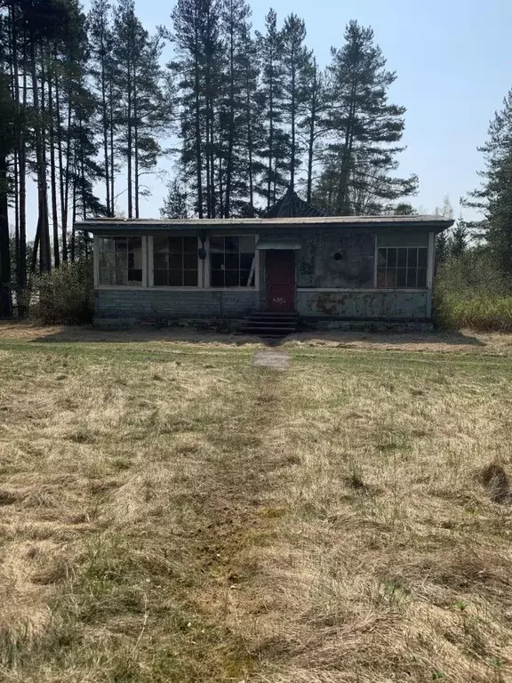 Участок в Ленинградская область, Приозерский район, Ромашкинское ... - Фото 2