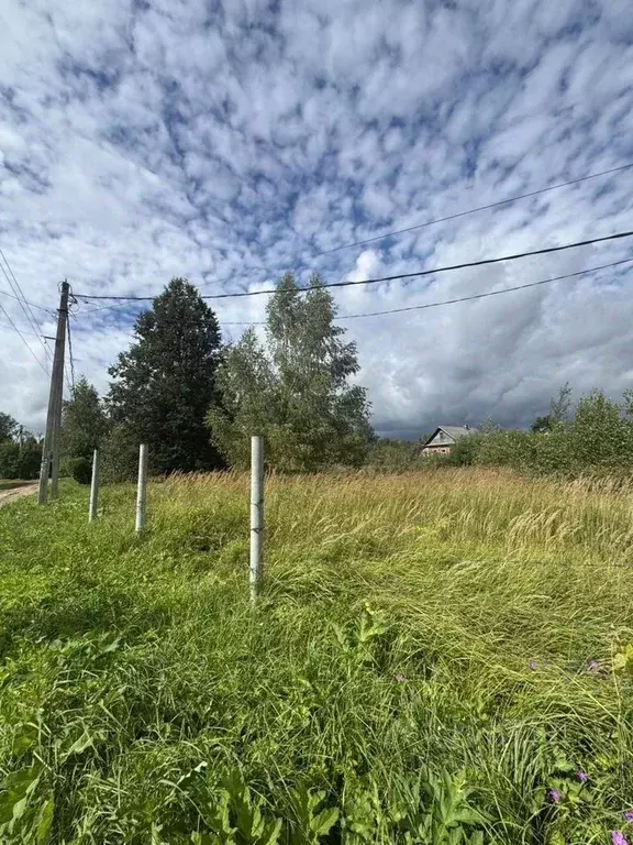 Участок в Московская область, Дмитровский муниципальный округ, д. ... - Фото 2