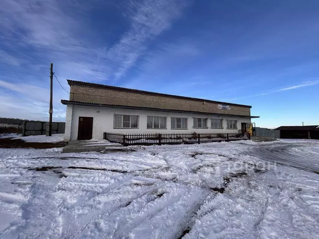 Торговая площадь в Челябинская область, Сосновский район, ... - Фото 1