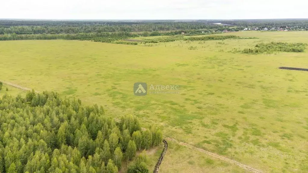 Участок в Тюменская область, Тюменский район, д. Речкина  (12.0 сот.) - Фото 0