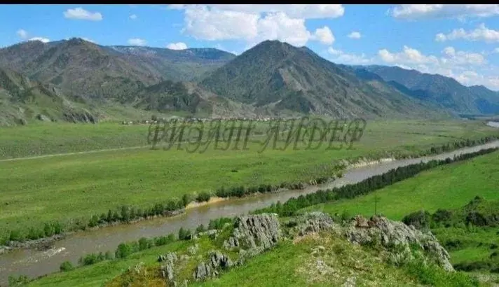 Участок в Алтай, Чемальский район, с. Куюс Центральная ул. (12.0 сот.) - Фото 1