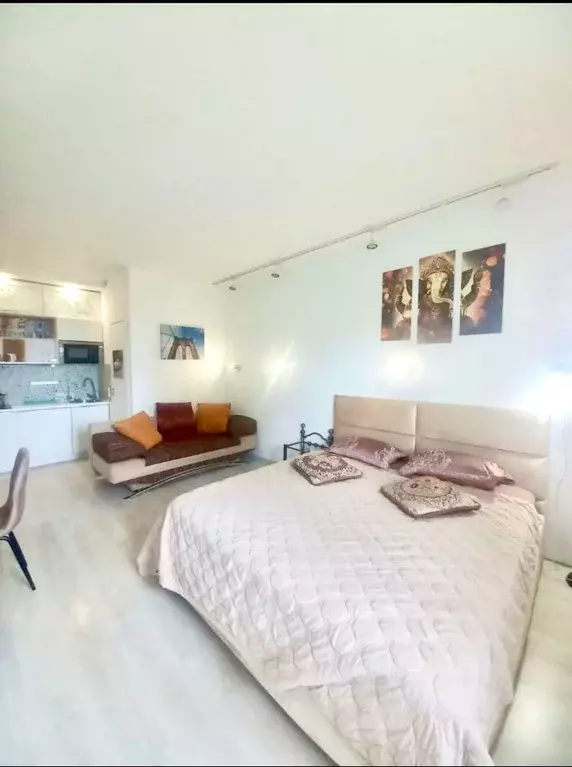 Студия Краснодарский край, Сочи Бытха мкр, ул. Бытха, 20/4 (25.0 м) - Фото 2