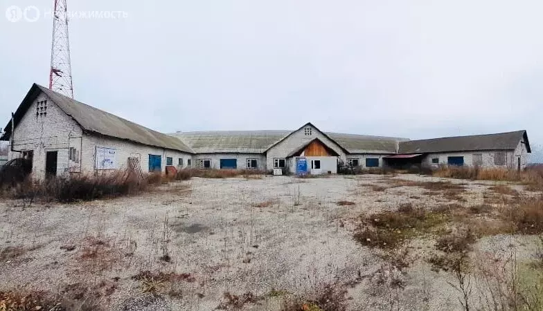 Участок в Сасово, площадь Ленина (165 м) - Фото 1