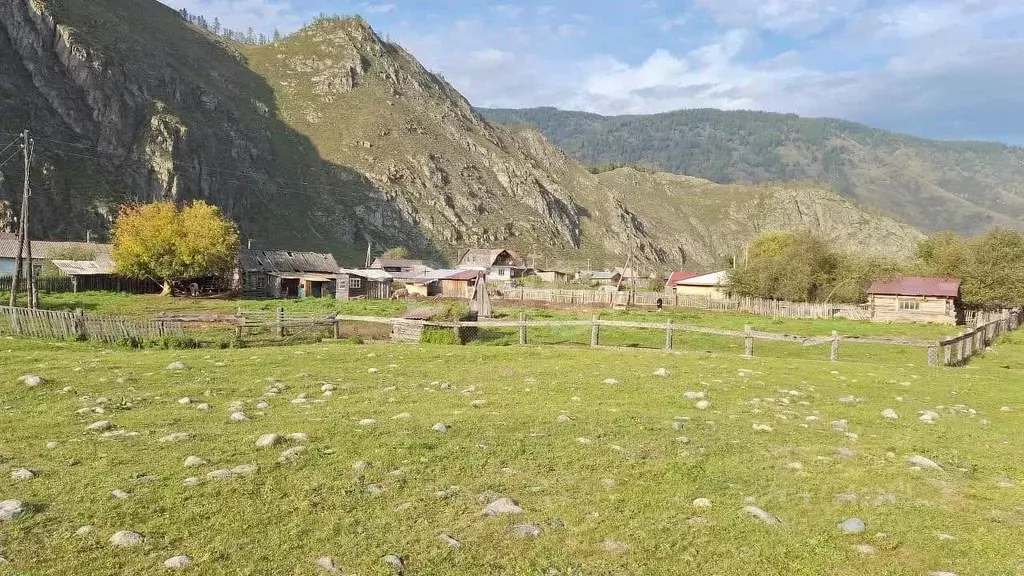 Участок в Алтай, Усть-Коксинский район, с. Тюнгур Набережная ул., 9 ... - Фото 2