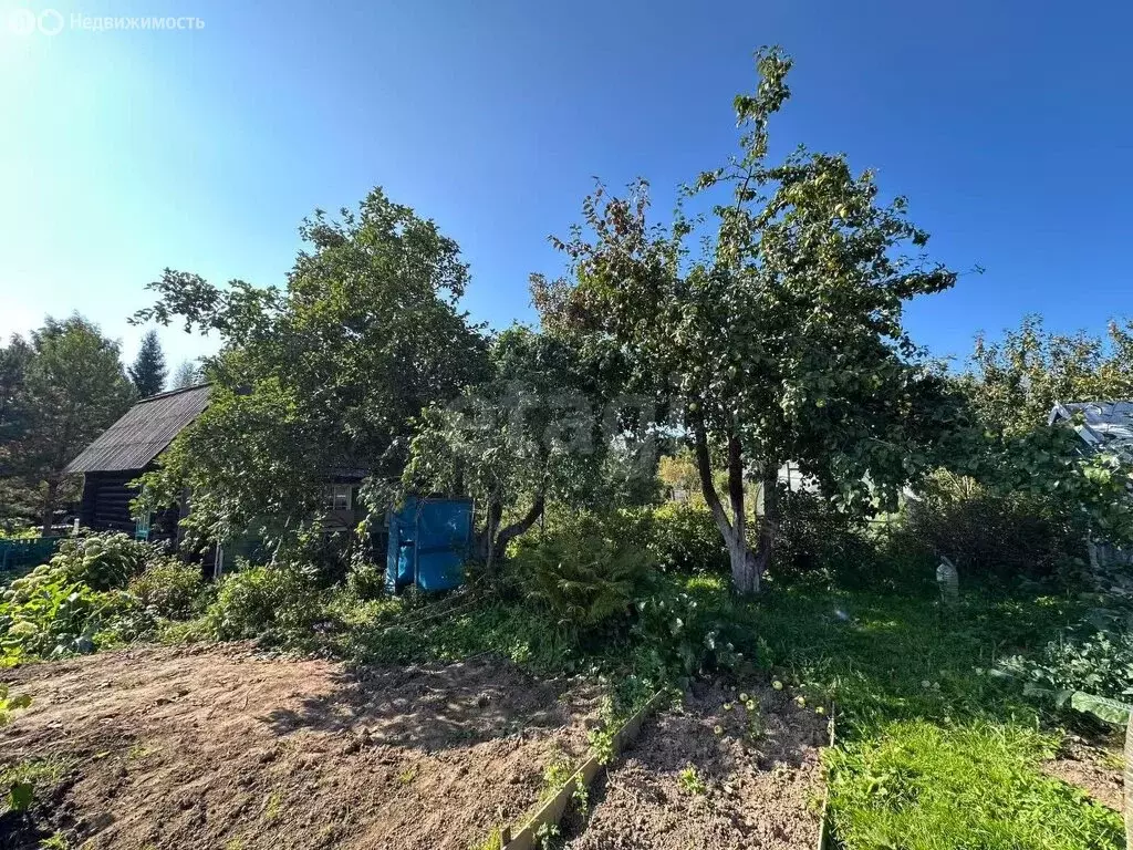 Участок в Кострома, Центральный район (22000 м) - Фото 2