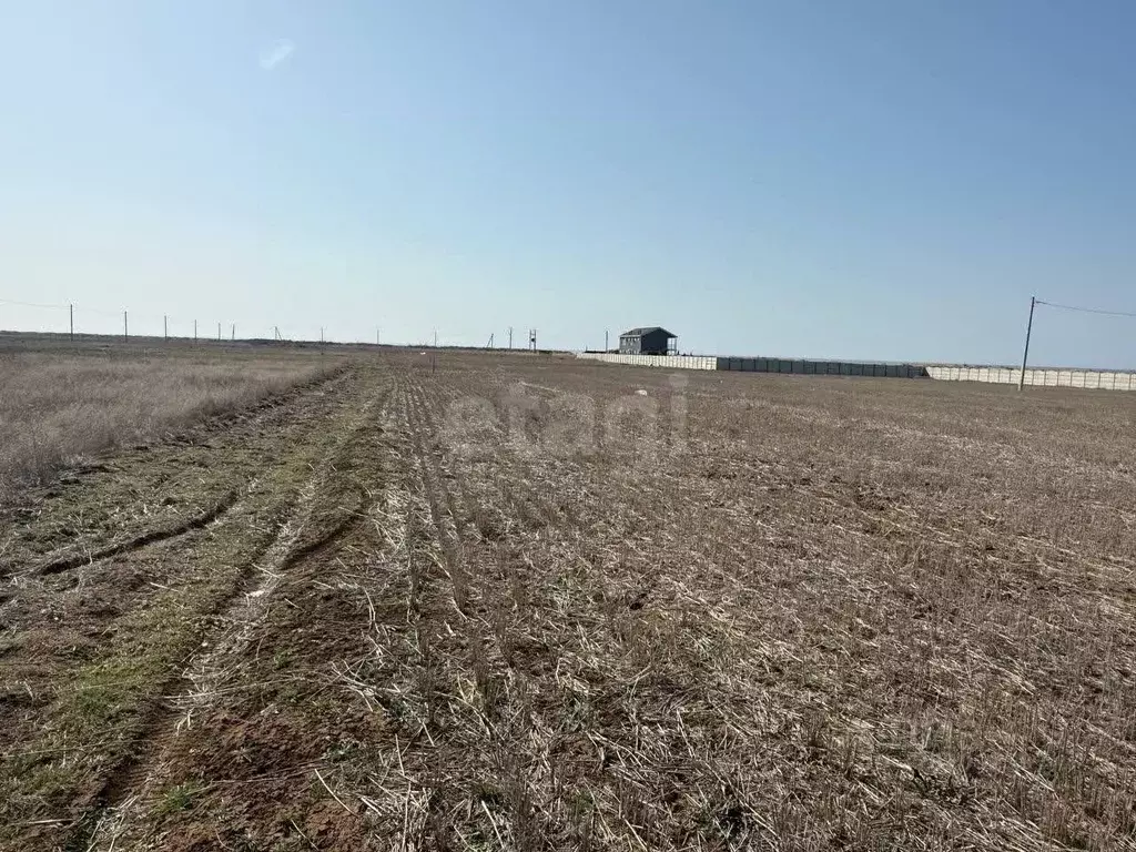 Участок в Крым, Сакский район, с. Молочное  (10.0 сот.) - Фото 0