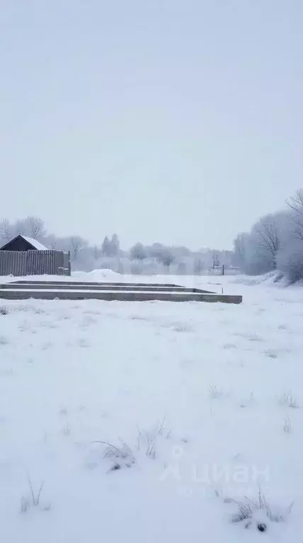Участок в Тульская область, Щекинский район, Крапивенское с/пос, ... - Фото 1