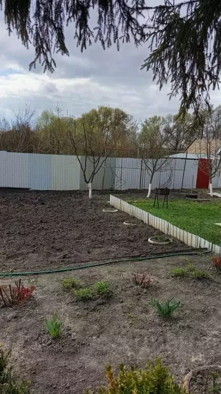 Дом в Белгородская область, Яковлевский муниципальный округ, Красный ... - Фото 2
