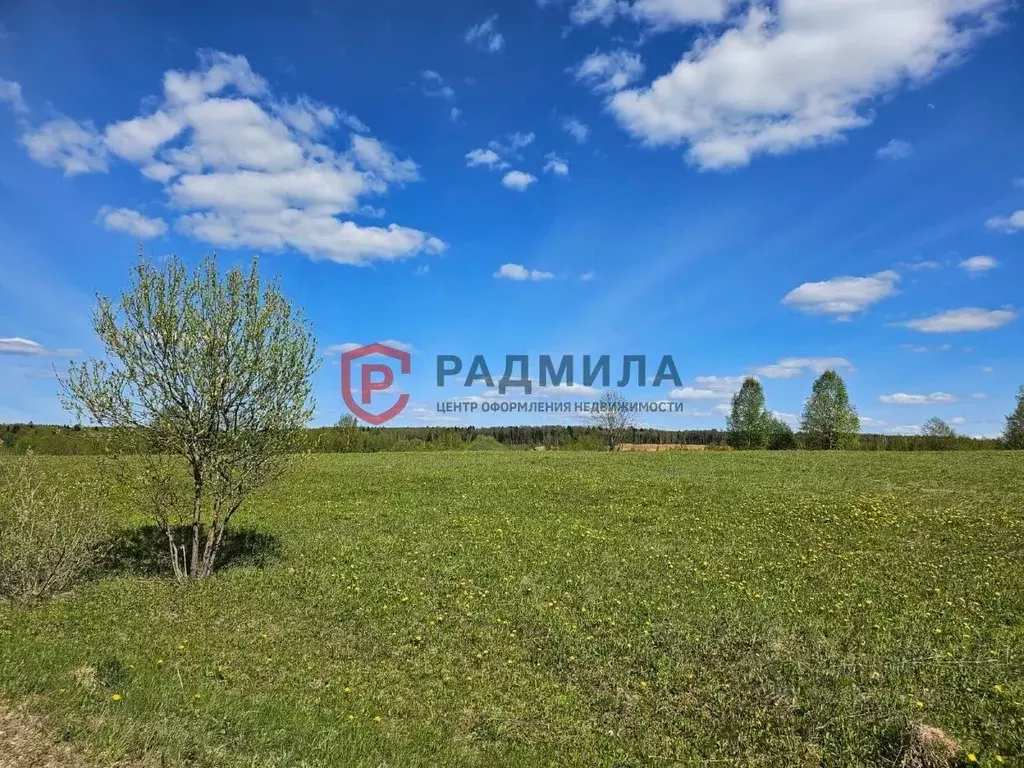 Участок в Владимирская область, Александровский район, ... - Фото 0