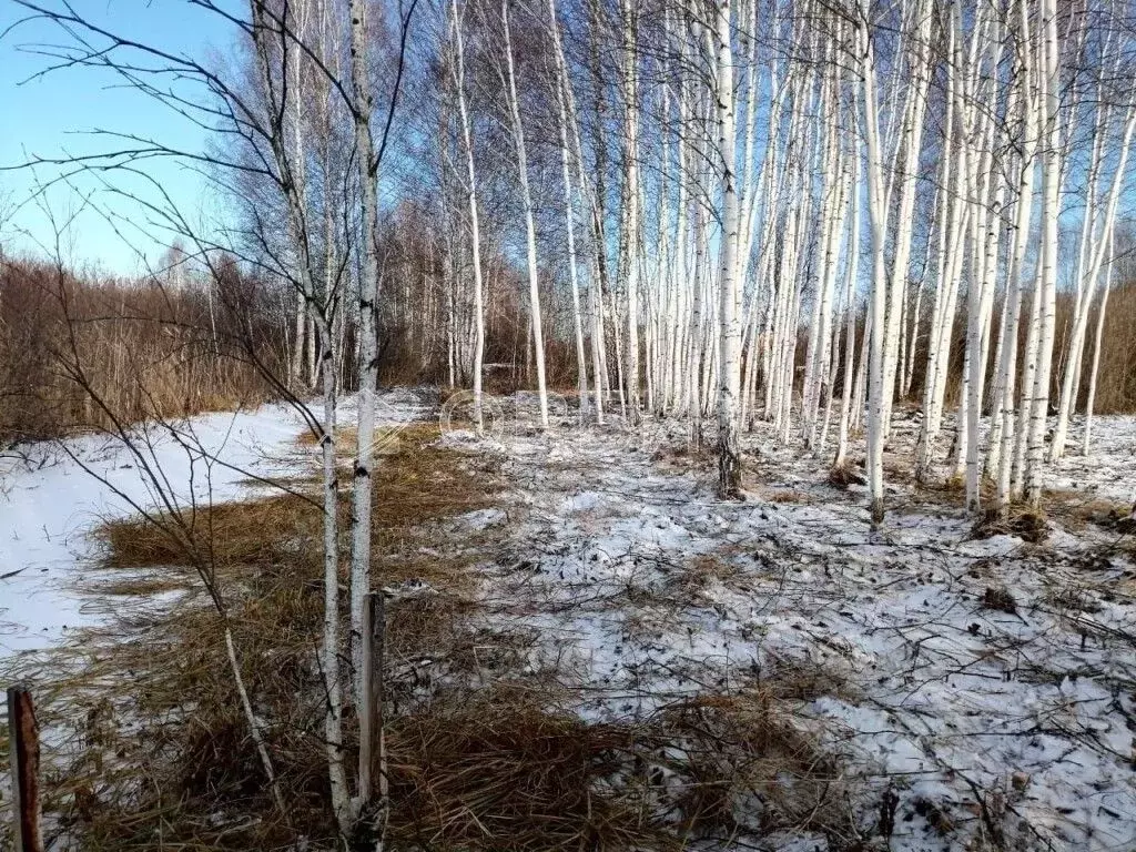 Участок в Тюменская область, Нижнетавдинский муниципальный округ, ... - Фото 2