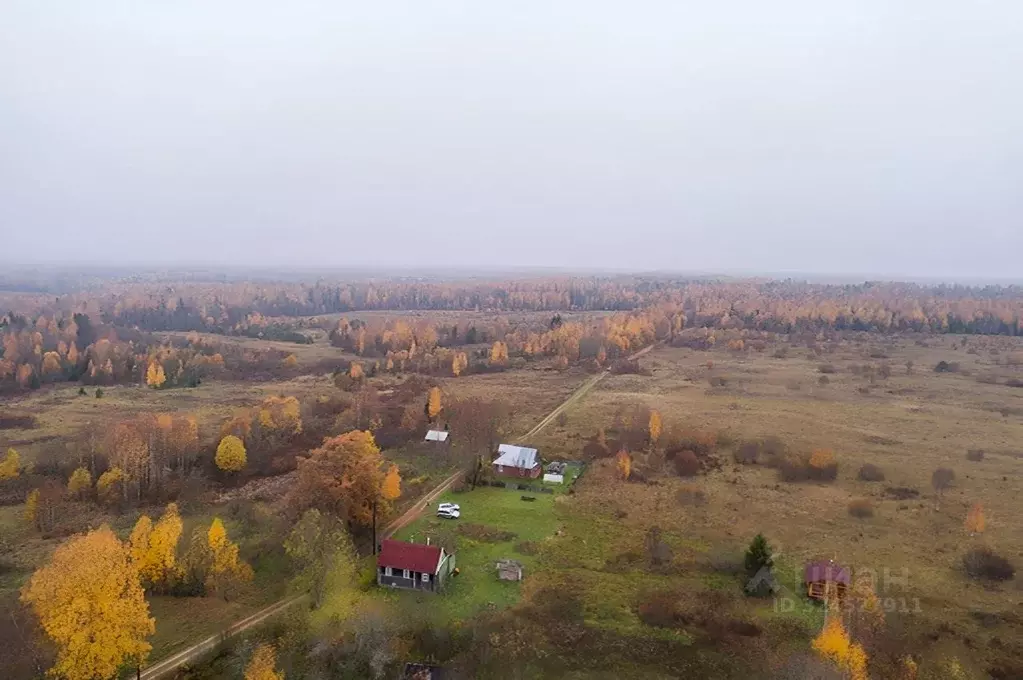 Дом в Новгородская область, Любытинское с/пос, д. Придорожная  (50 м) - Фото 1