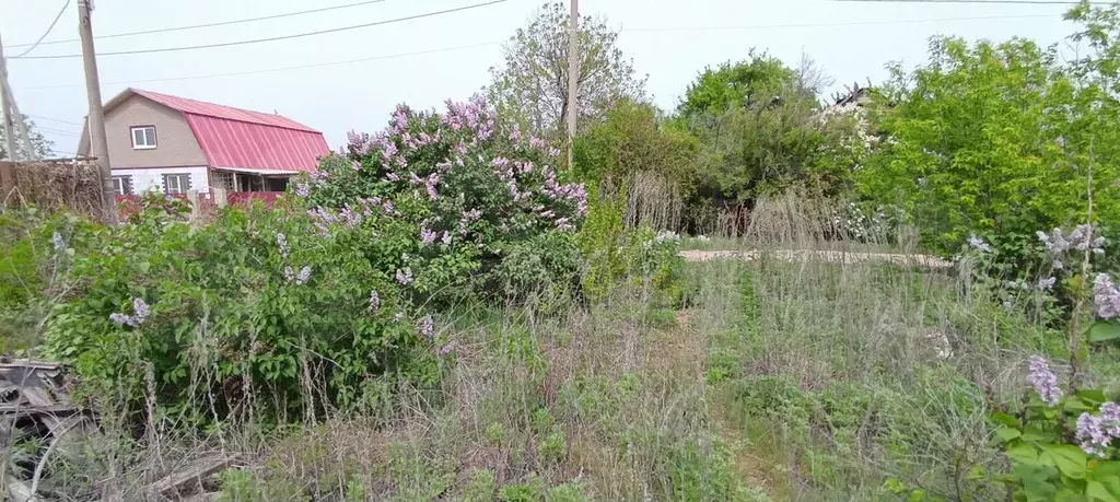 Участок 6,2 сот. (СНТ, ДНП) - Фото 0