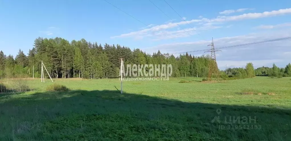 Участок в Ленинградская область, Выборг Промышленный мкр,  (320.0 ... - Фото 1