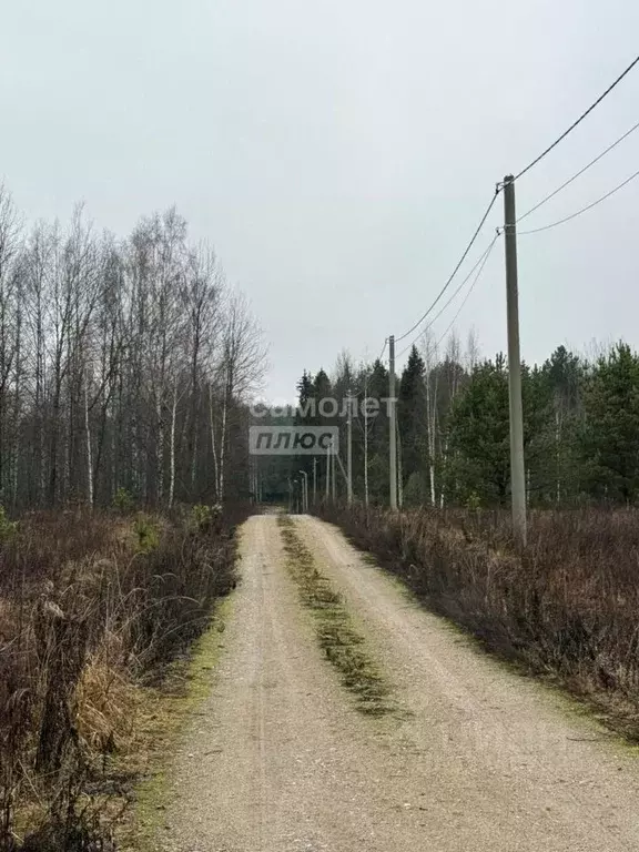 Участок в Ярославская область, Переславль-Залесский муниципальный ... - Фото 1