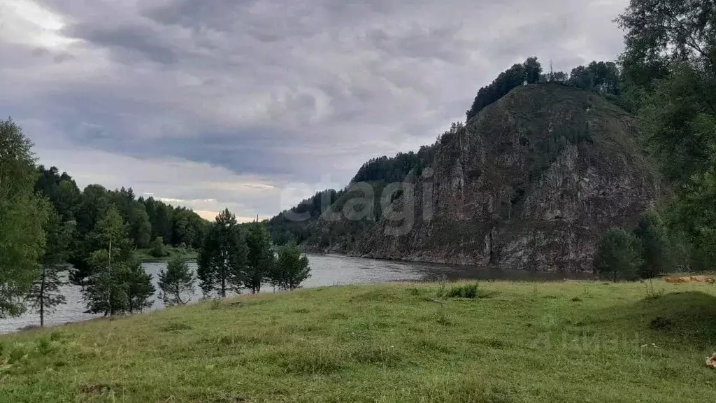 Участок в Алтай, Турочакский район, с. Тулой Центральная ул. (22.7 ... - Фото 1