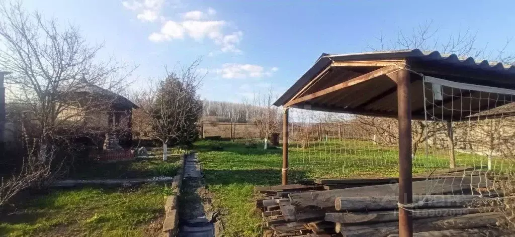 Дом в Белгородская область, Губкинский городской округ, с. Теплый ... - Фото 0
