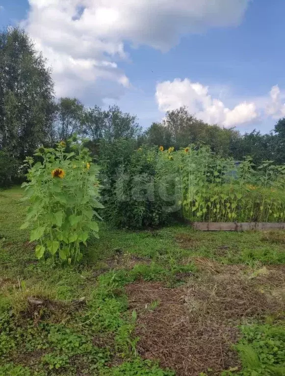 Участок в Вологодская область, Вологда Парус садоводческое ... - Фото 2