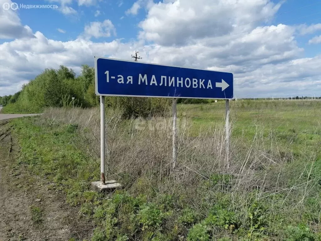 Участок в Тамбовский муниципальный округ, село Малиновка (10 м) - Фото 1