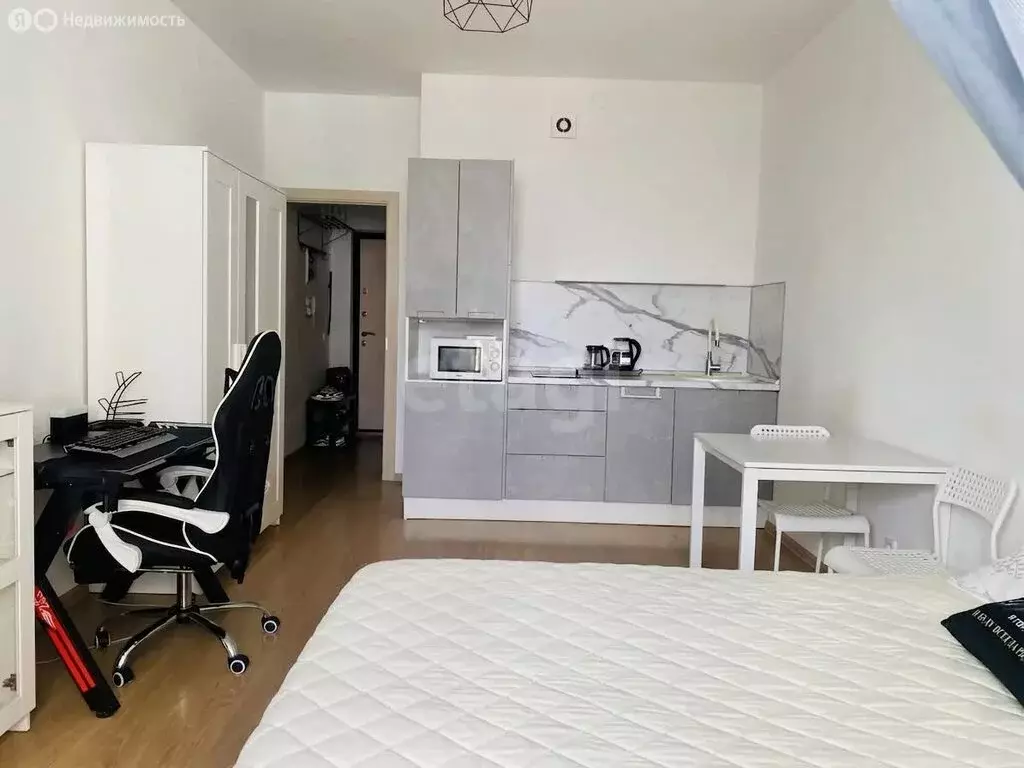 Квартира-студия: Санкт-Петербург, Арцеуловская аллея, 23к1 (28.5 м) - Фото 2