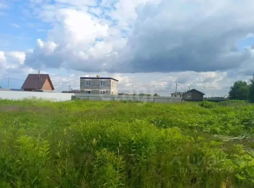 Участок в Ленинградская область, Тосненский район, Федоровское ... - Фото 2