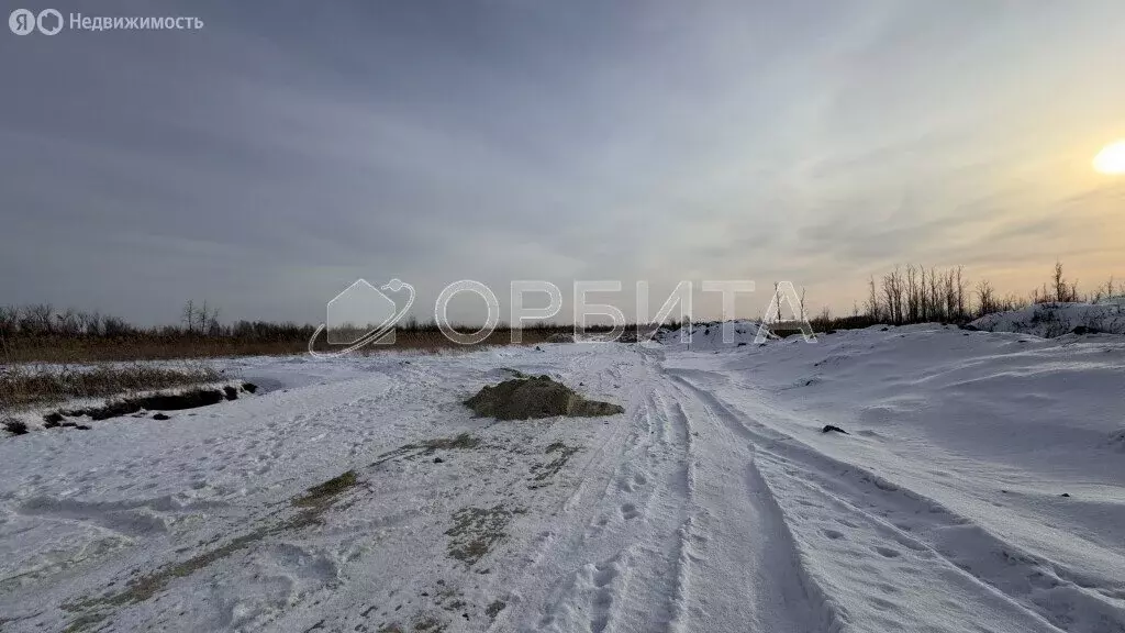 Участок в Нижнетавдинский район, село Антипино (221.12 м) - Фото 1