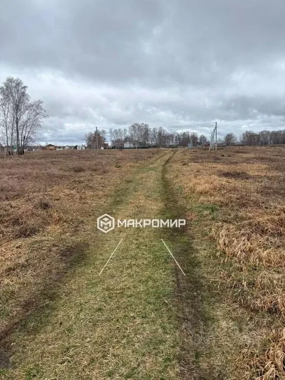 Участок в Новосибирская область, Новосибирский район, с. Верх-Тула ... - Фото 0