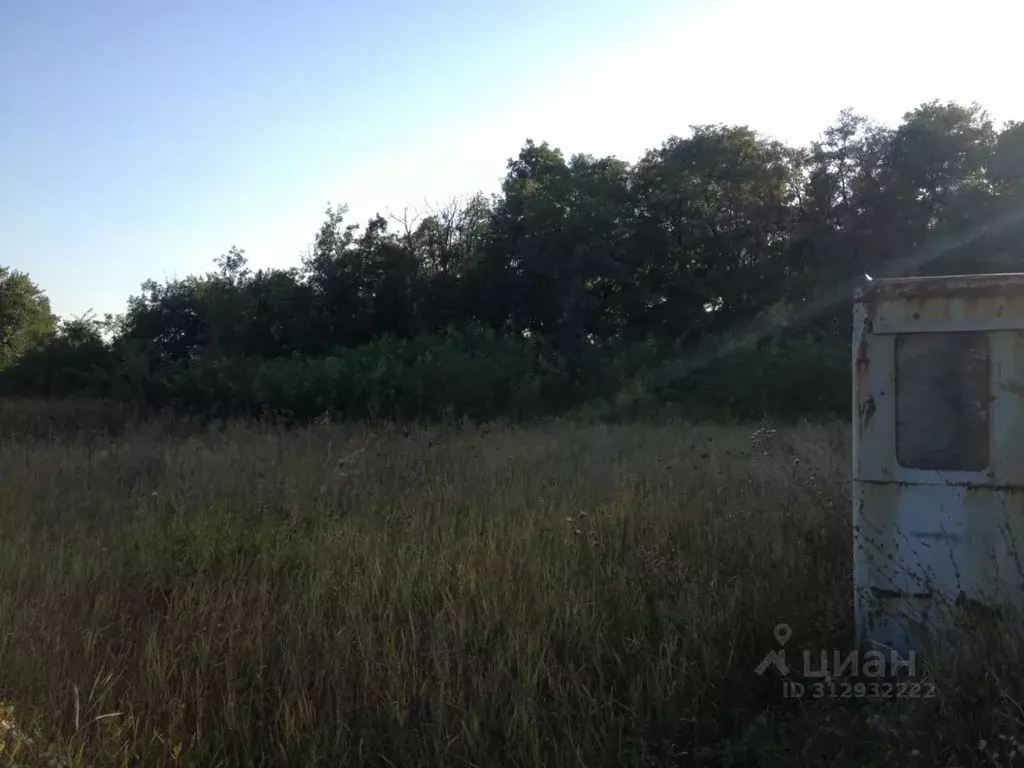 Участок в Ростовская область, Родионово-Несветайский район, ... - Фото 1