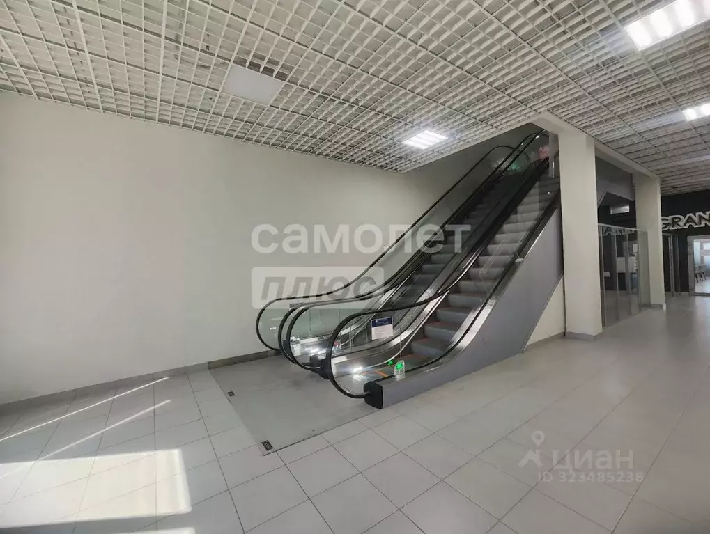 Офис в Пензенская область, Пенза ул. Лозицкой, 1 (64 м) - Фото 2