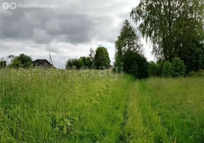 Участок в Чухломский район, Повалихинское сельское поселение, посёлок ... - Фото 1