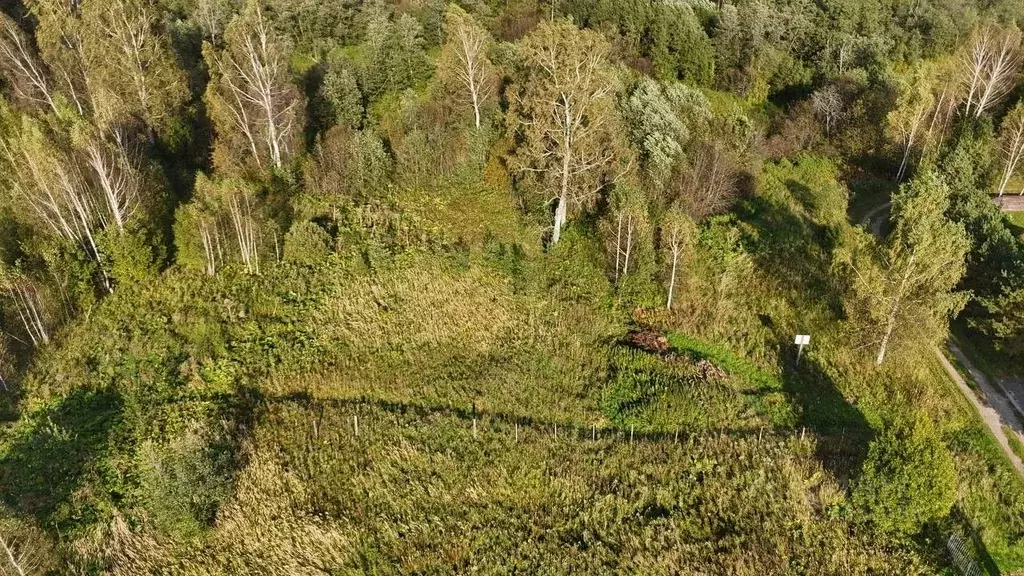 Участок в Московская область, Волоколамский муниципальный округ, д. ... - Фото 1