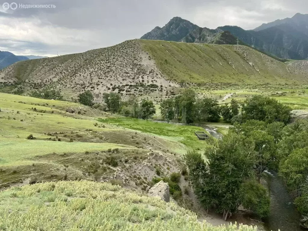Участок в Онгудайский район, село Малый Яломан (73 м) - Фото 0