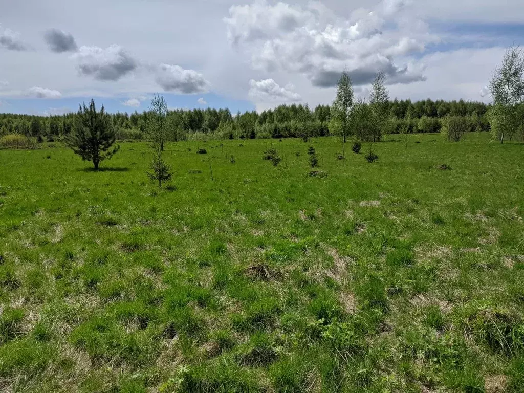 Участок в Московская область, Сергиево-Посадский городской округ, д. ... - Фото 0