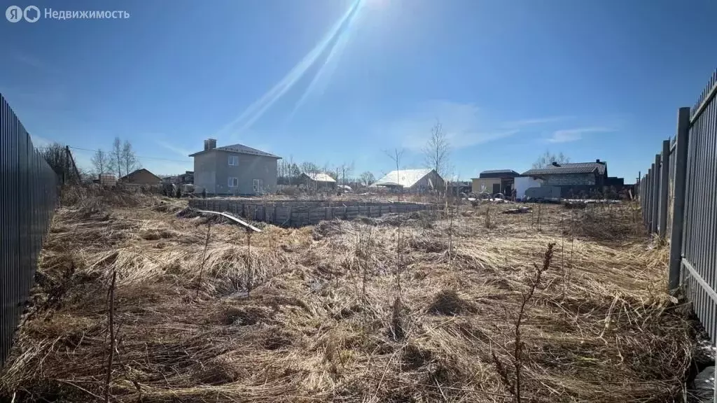 Участок в Ярославский муниципальный округ, деревня Бор, Липовая улица ... - Фото 1