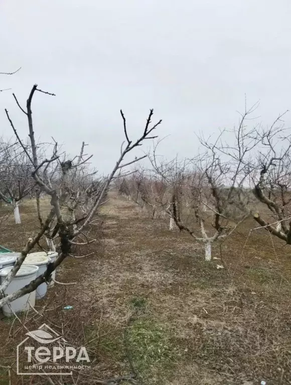 Участок в Крым, Первомайский район, с. Правда ул. Садовая, 63 (15.0 ... - Фото 0