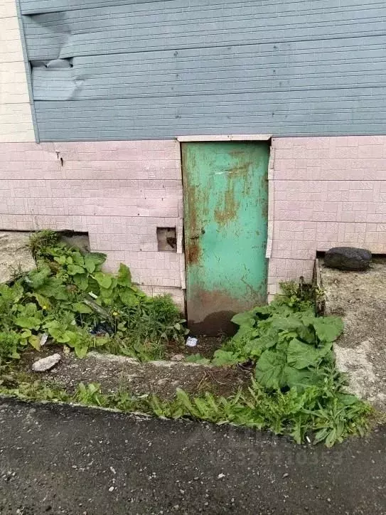 Помещение свободного назначения в Сахалинская область, Поронайск  (16 ... - Фото 1