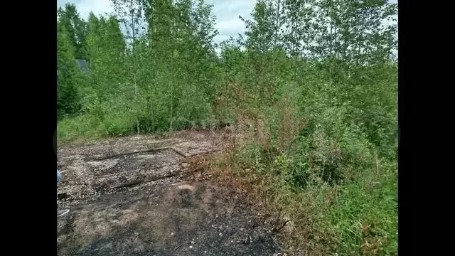 Участок 10 сот. (СНТ, ДНП) - Фото 1