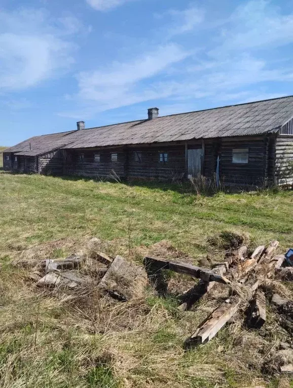 Помещение свободного назначения в Нижегородская область, Ветлужский ... - Фото 0