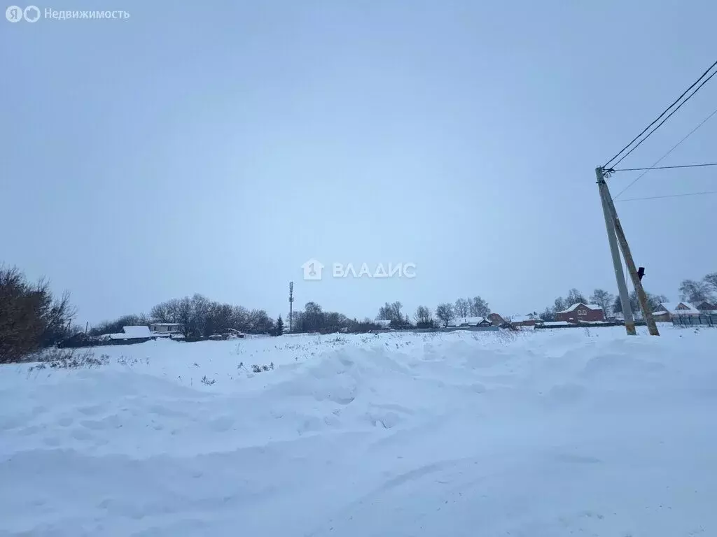 Участок в Московская область, муниципальный округ Луховицы, село ... - Фото 1