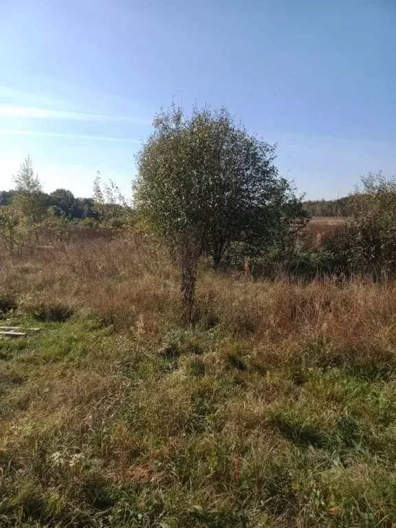 Участок в Московская область, Ступино городской округ, д. Тутыхино ул. ... - Фото 1