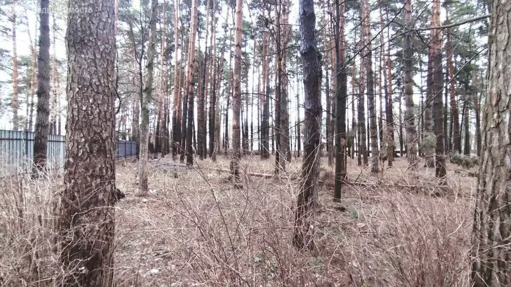 Участок в посёлок Александровка, Подольская улица (47.57 м) - Фото 1
