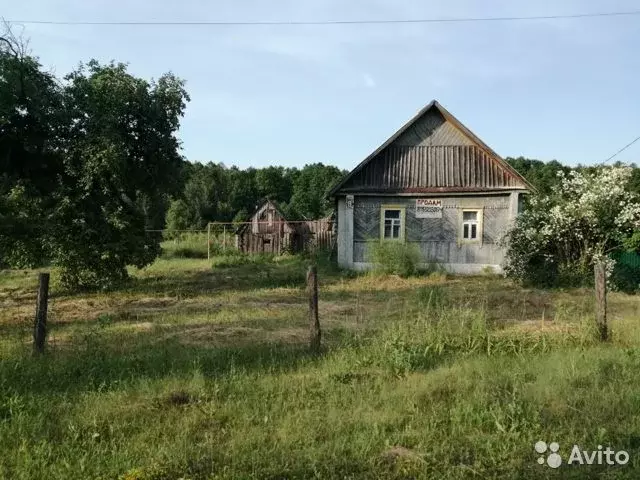 Погода гришиной слободе. Гришина Слобода. Гришина Слобода Жуковский район. Гришина Слобода Брянская область. Гришина Слобода деревня.